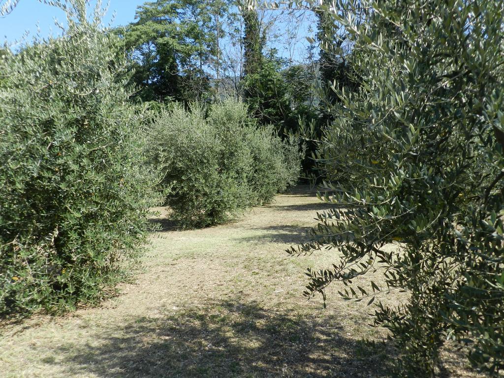 B&B Villa Maria Terni Quarto foto